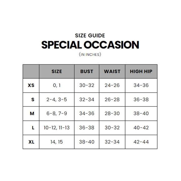 Elegant Silver Evening Gown - Picture 13 of 13